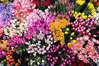 《DC Dual Force》免费登陆PC DC宇宙数字卡牌游戏