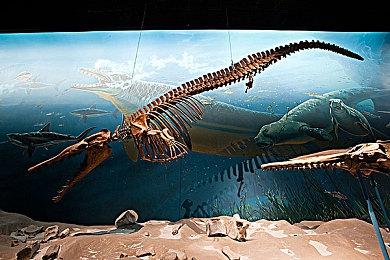 《生化危机外传》粉丝重制版预告 扑面而来的经典气息